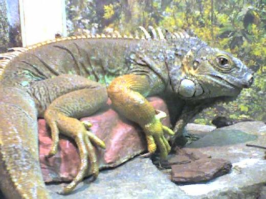 25-01-07_1727.jpg - MotorolaRAZRV3xx96.66.72A2007:01:25 17:24:57